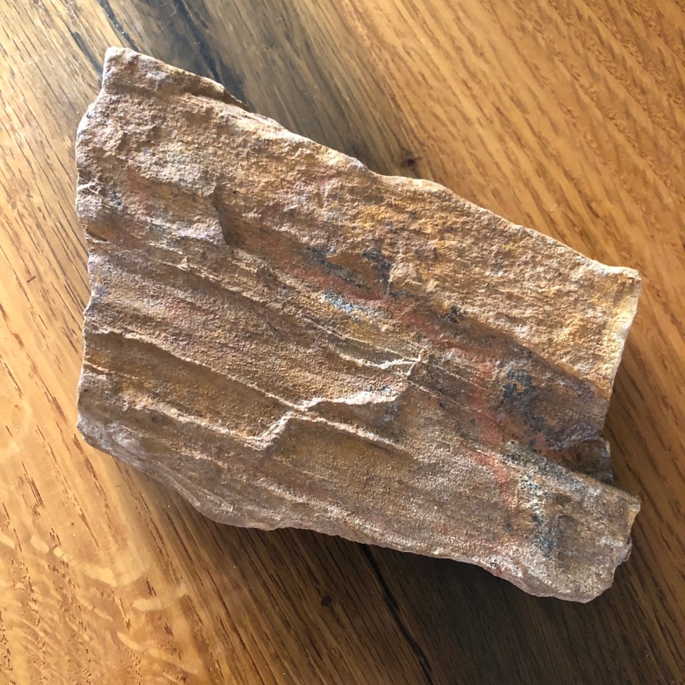 Rare Druzy Petrified Wood